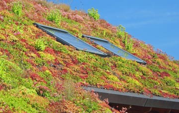 Winterburn living roof systems