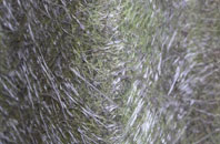 Winterburn fibreglass roof work